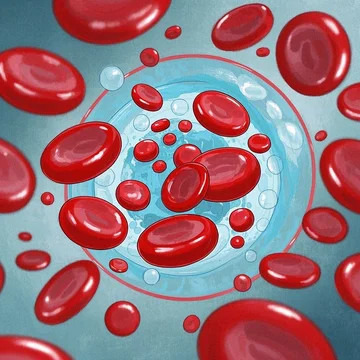 Apa Itu Darah? Fungsi, Komposisi, dan Peran Vitalnya